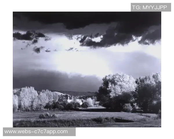 亚当斯的传奇人生与时代变迁的深刻影响探索 亚当斯的传奇人生与时代变迁的深刻影响探索